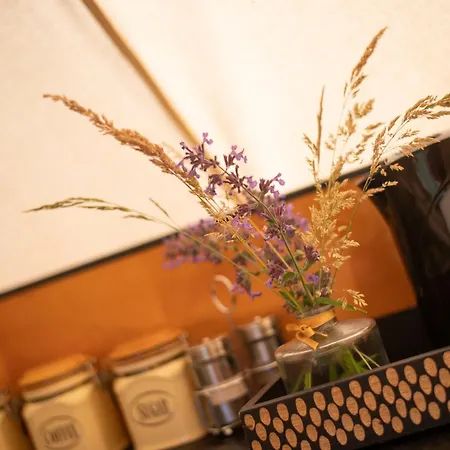 Glamping & Farm Zlate Podlesi - Stan Na Louce Luxuszelt Zlaté Hory