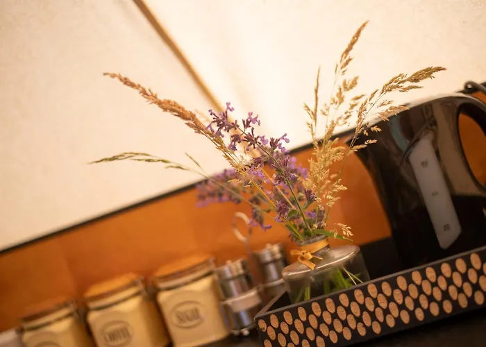 Glamping & Farm Zlate Podlesi - Stan Na Louce خيمة فخمة Zlaté Hory